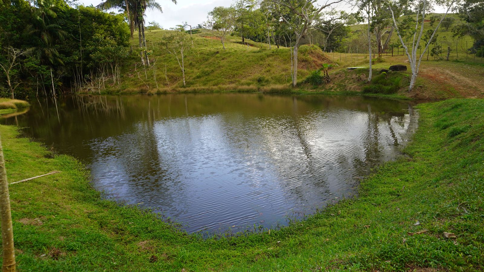 Lagos y naturaleza