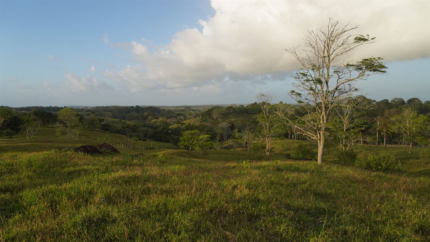 Clima de montaña